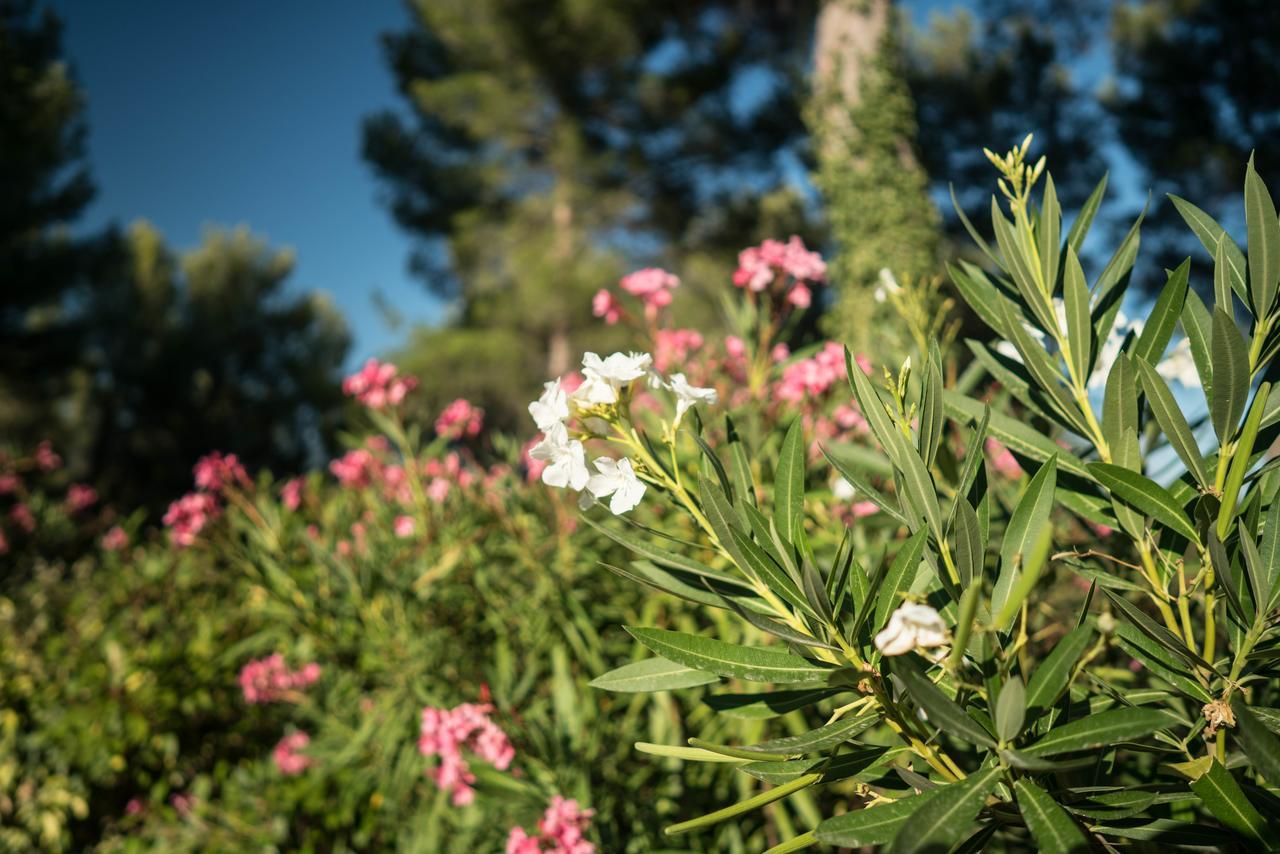 Bed & Breakfast Domaine De Saint Clair Aix-en-Provence