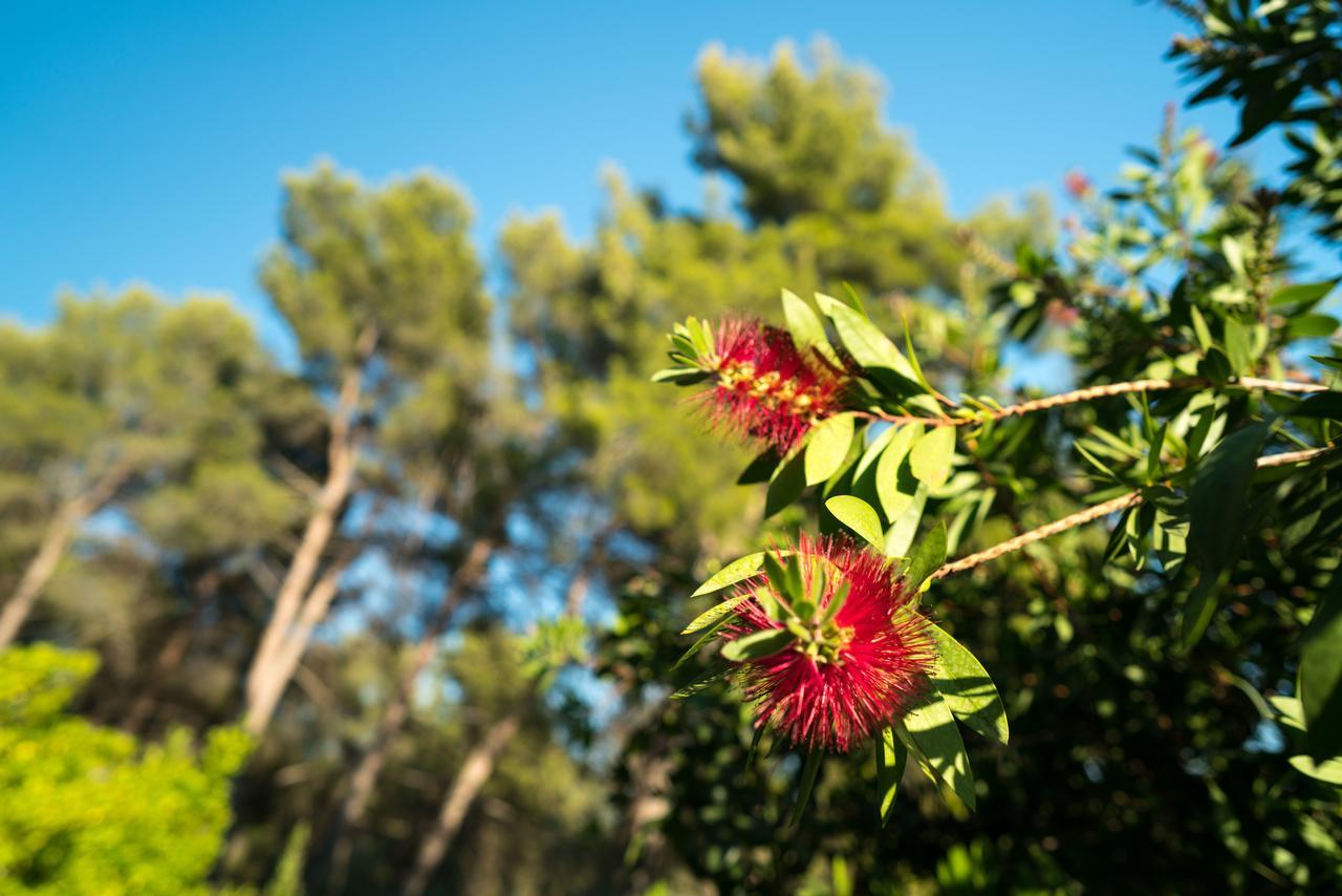 Domaine De Saint Clair 2* Aix-en-Provence